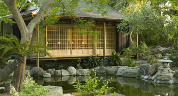 Zendo